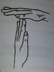 img-1.jpg