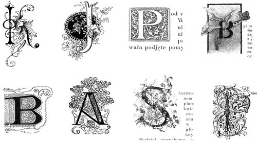 Image4